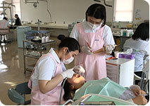 学生同士で行う相互実習